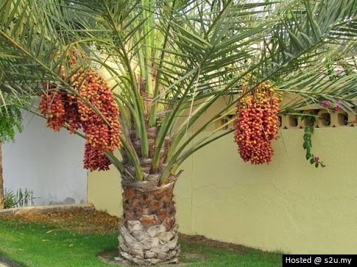 Sejarah Pramuka Uinsuna